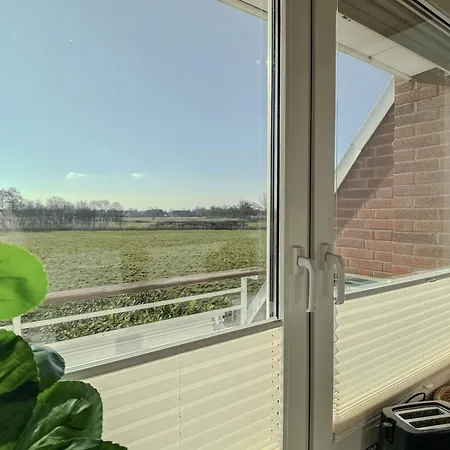 Friesenperle - Schillig