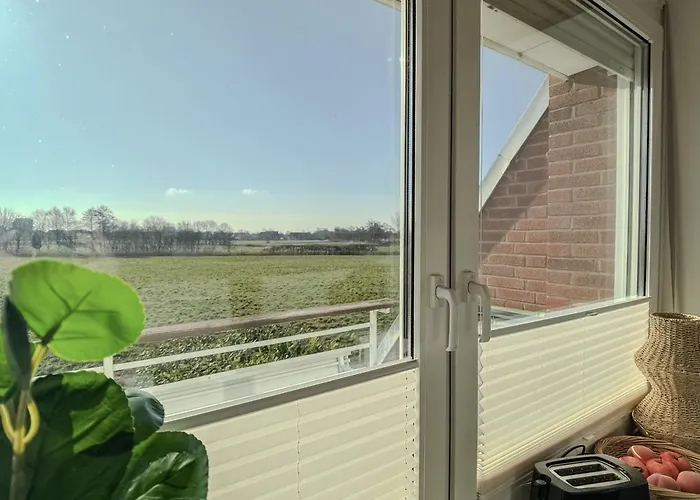 Friesenperle - Schillig